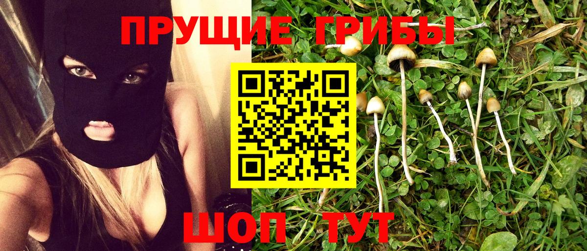 Слободской  Галлюциногенные грибы MAGIC MUSHROOMS  Вход с VPN  Псилоцибиновые грибы Magic Shrooms 