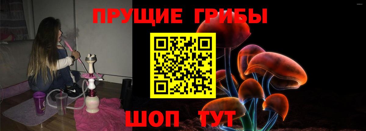 Псилоцибиновые грибы ЛСД Слободской